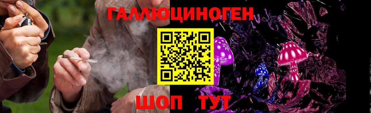 Псилоцибиновые грибы мицелий  Вход с VPN  Краснокамск  Псилоцибиновые грибы Psilocybine cubensis 